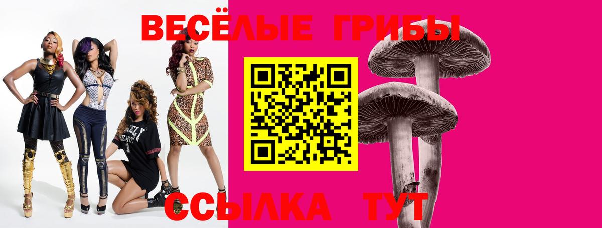 Галлюциногенные грибы Cubensis  Вход с VPN  Ессентуки 